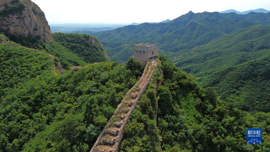 九洲网站平台